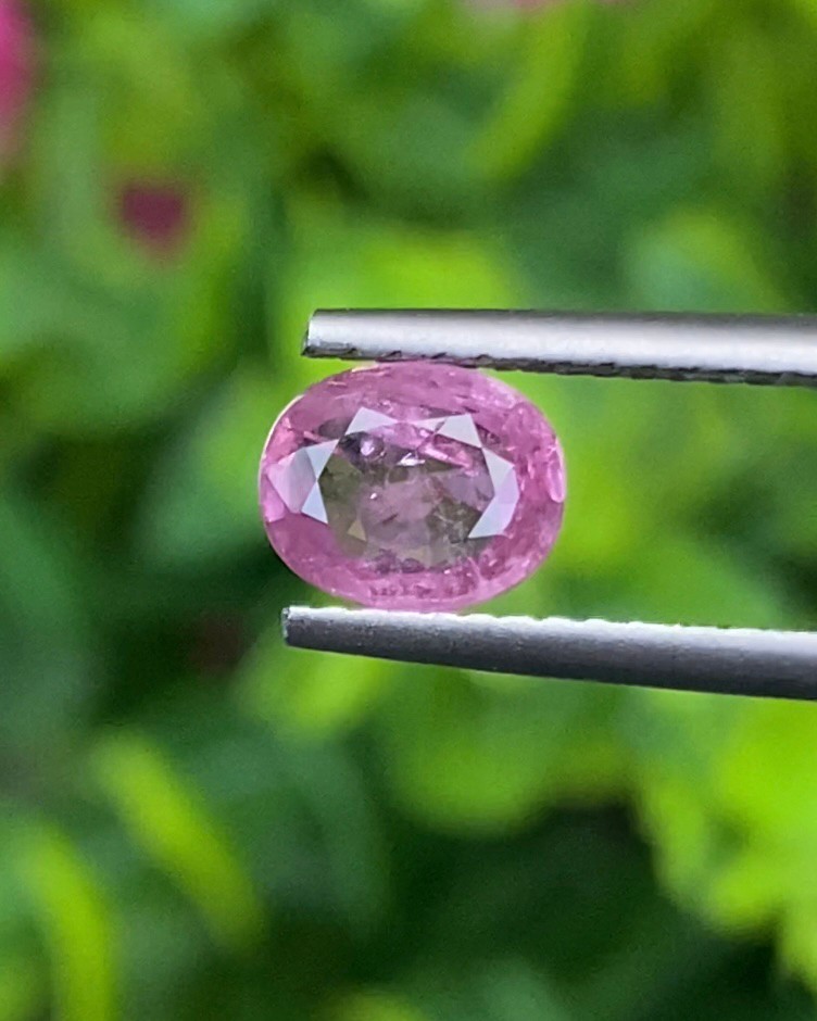 พลอย ชมพู Pink sapphire
