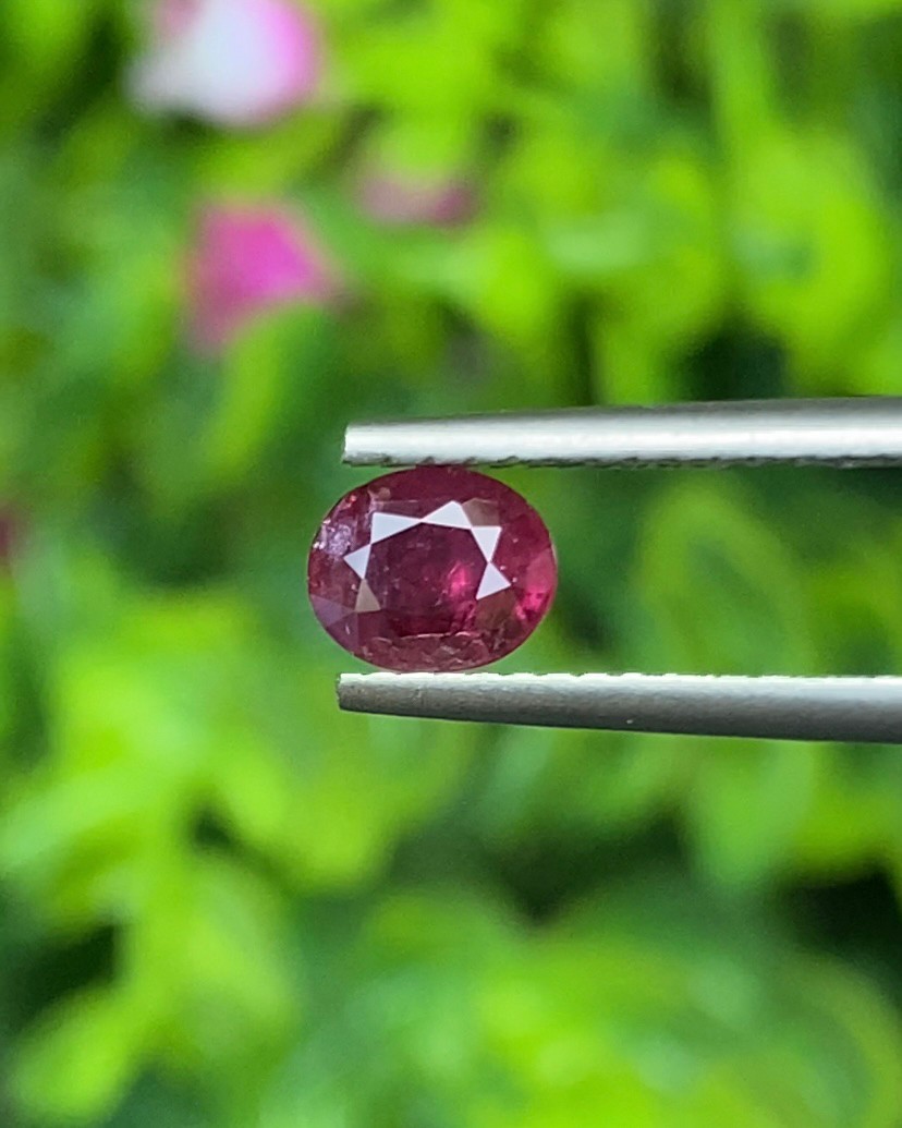 พลอย ทับทิม Ruby sapphire