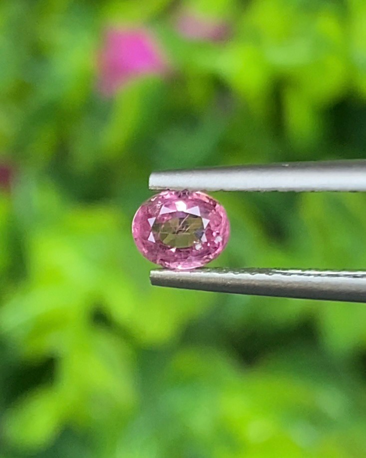 พลอย ชมพู Pink sapphire