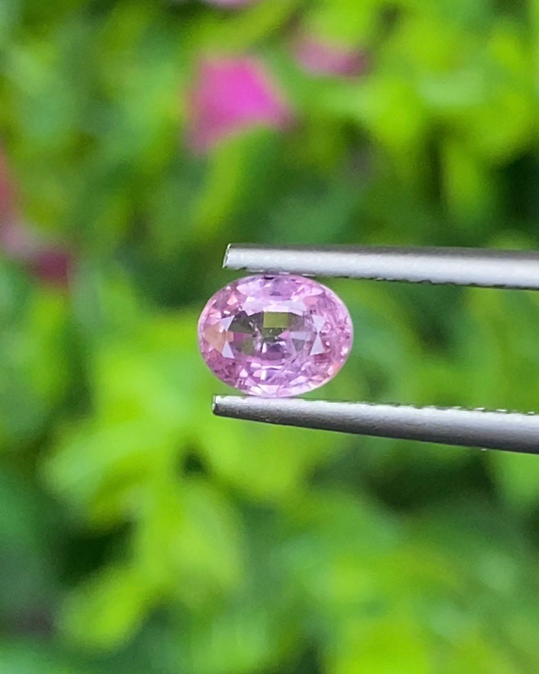 พลอย ชมพู Pink sapphire