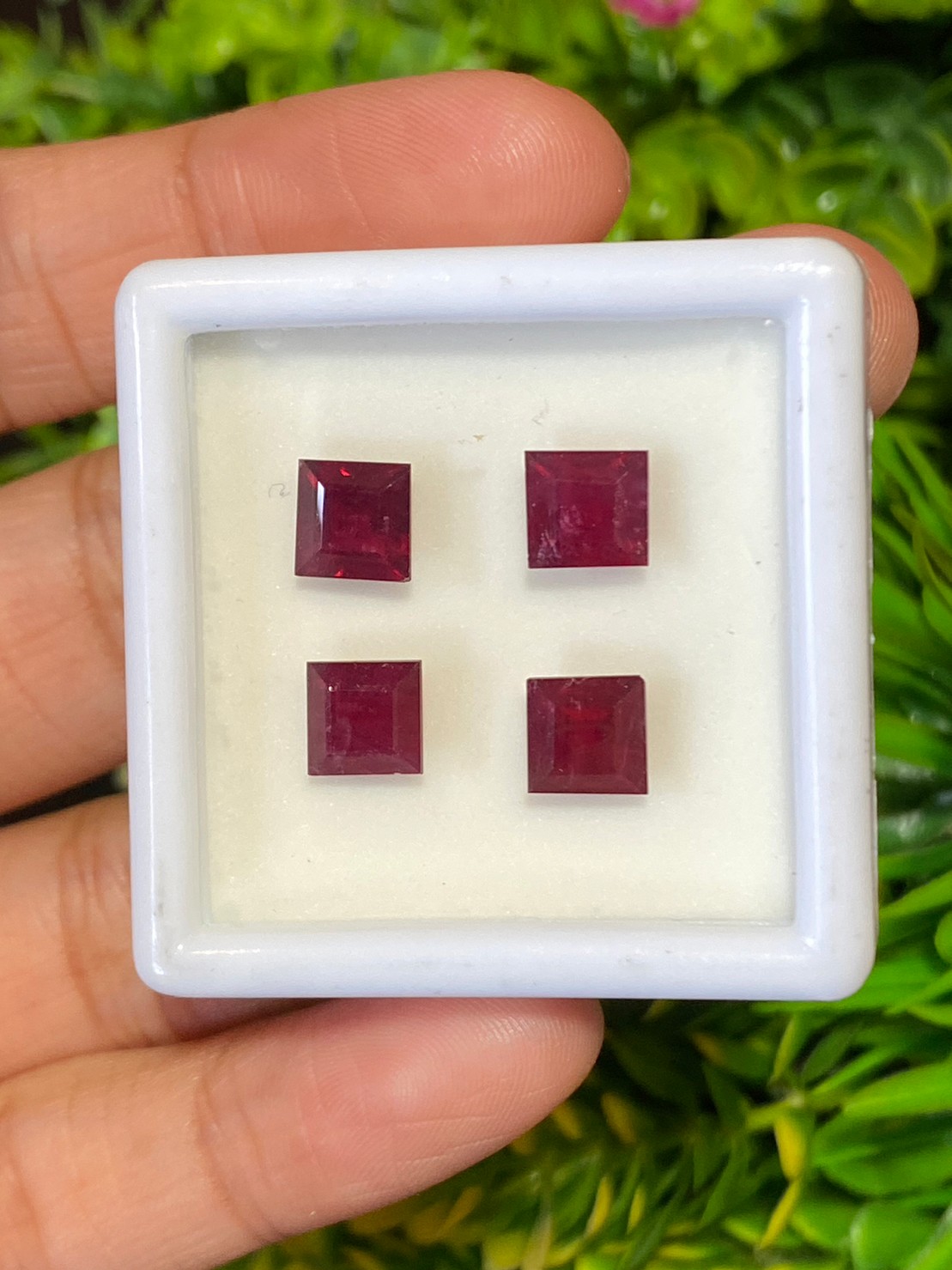 ทับทิม Natura Ruby Sapphire