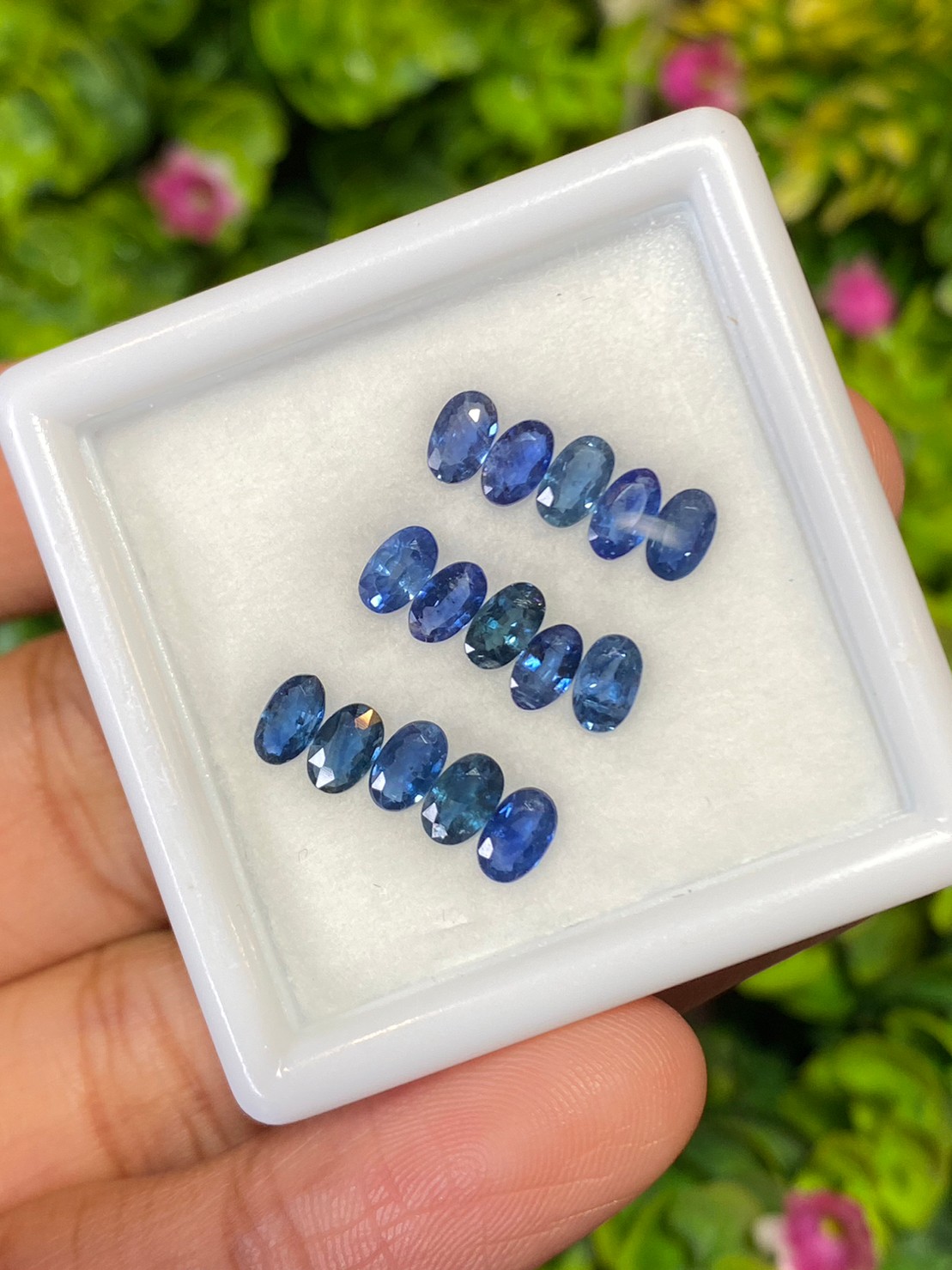 ไพลิน Natural Sapphire