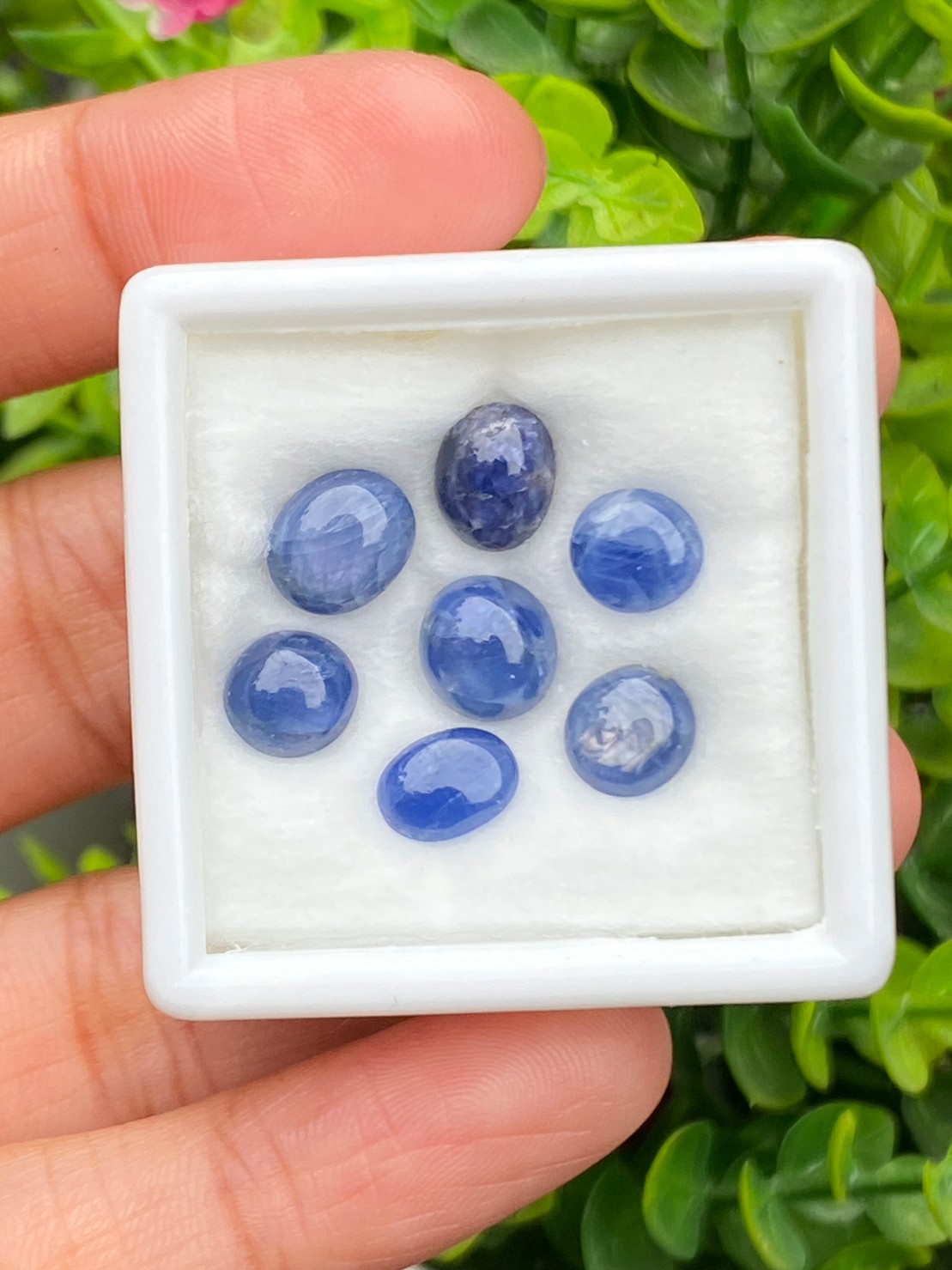 ไพลิน Natural Sapphire