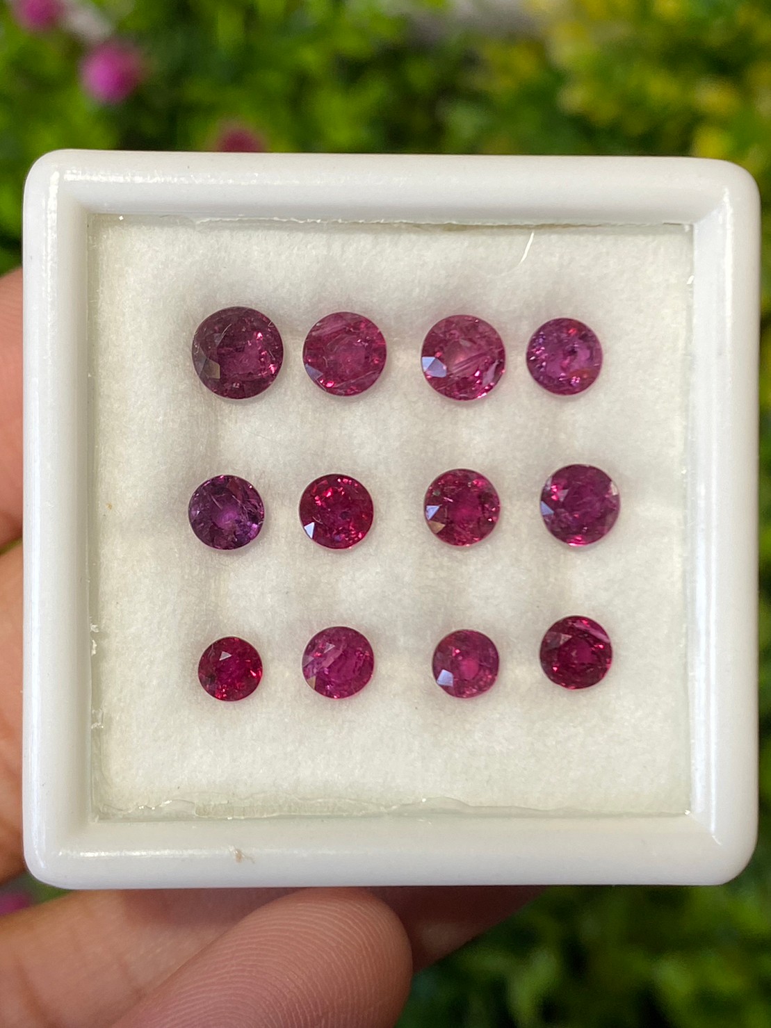 พลอย ทับทิม Ruby sapphire