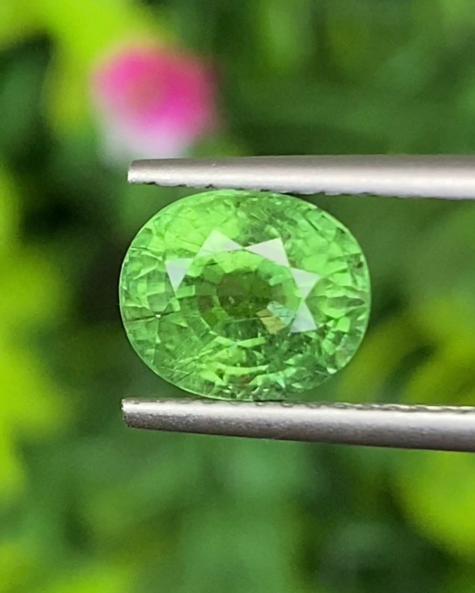 ทัวร์มาลีน Natural Tourmaline