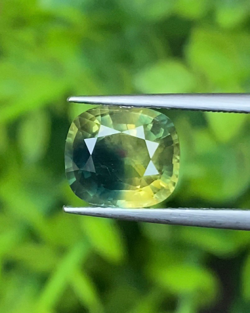 แซฟไฟร์ 3 สี แซฟไฟร์ Tri Color Sapphire