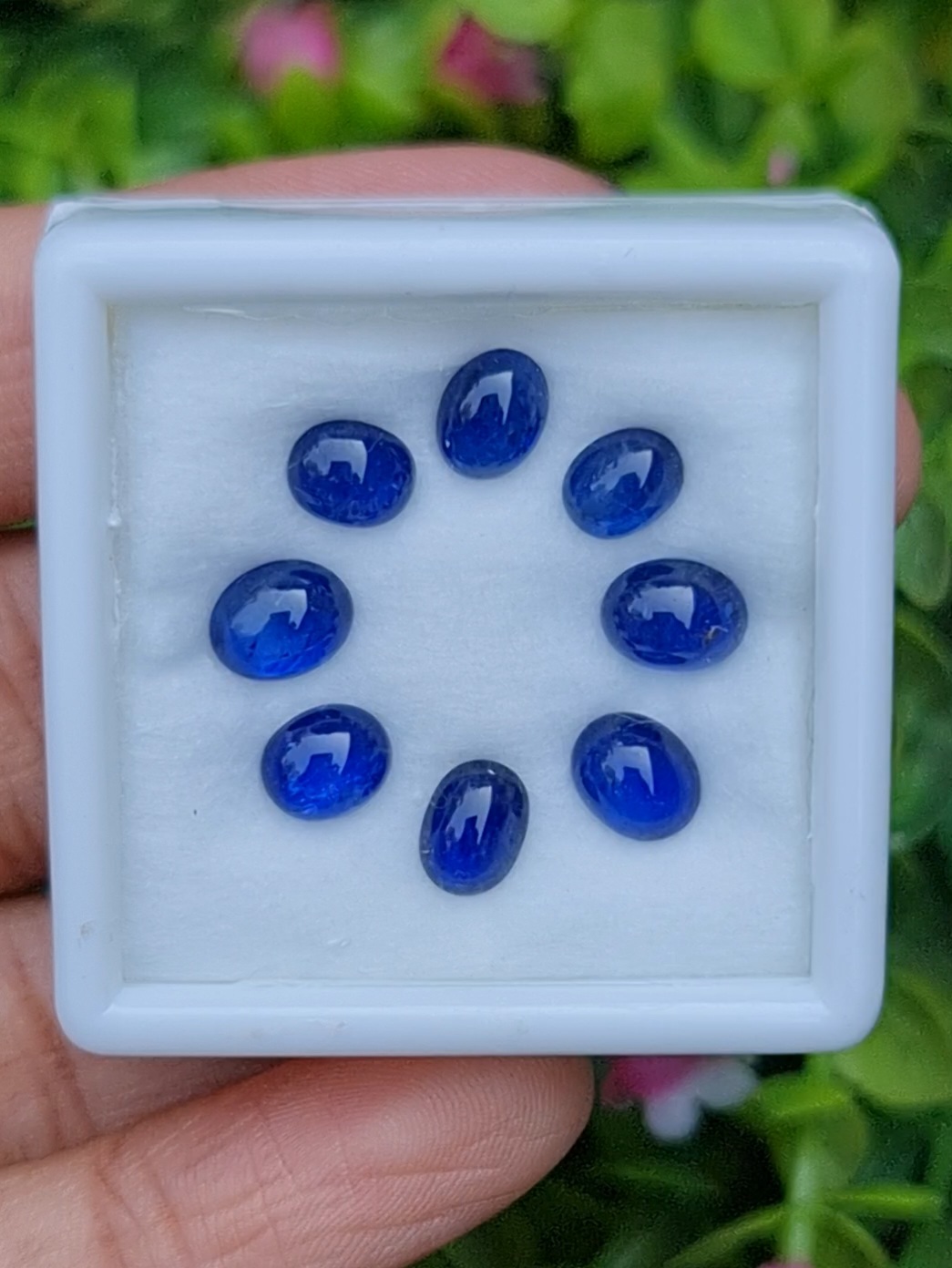 ไพลิน Natural Sapphire