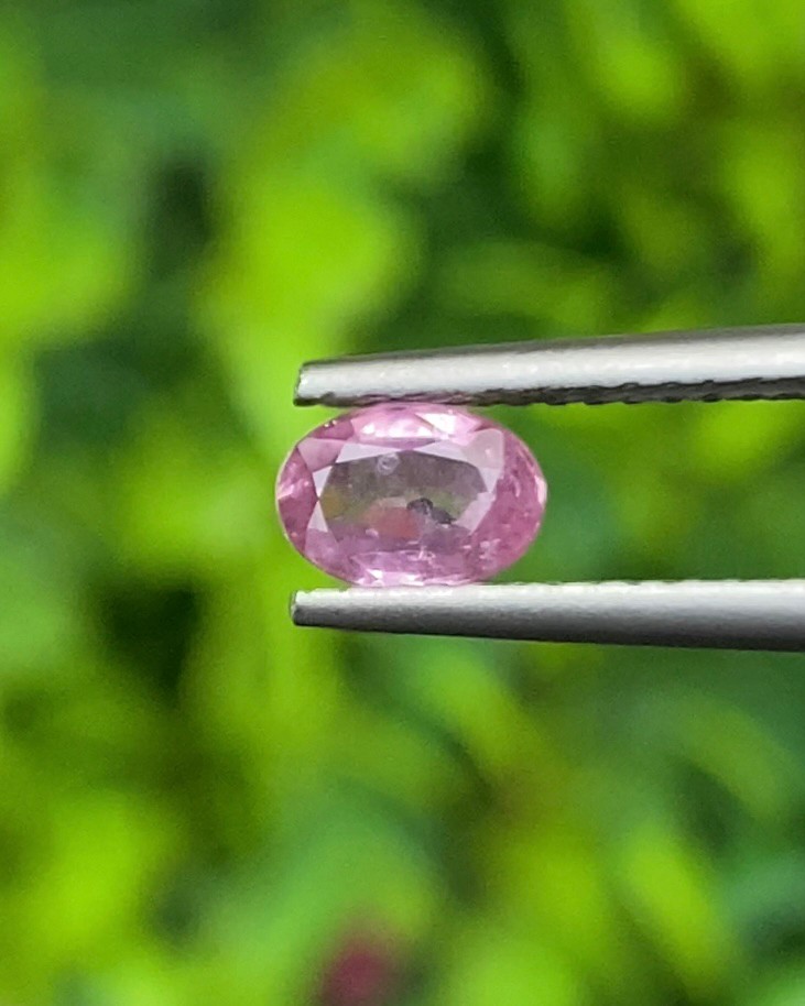 พลอย ชมพู Pink sapphire
