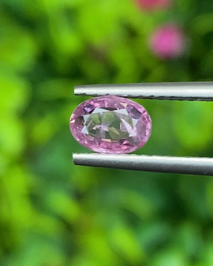 พลอย ชมพู Pink sapphire