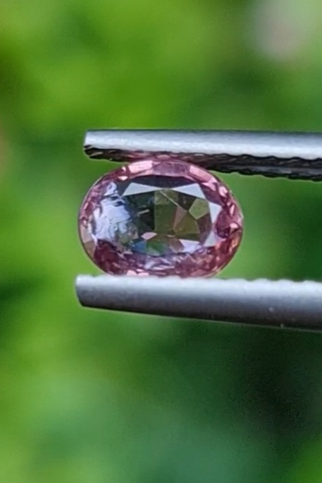 พลอย ทับทิม Ruby sapphire