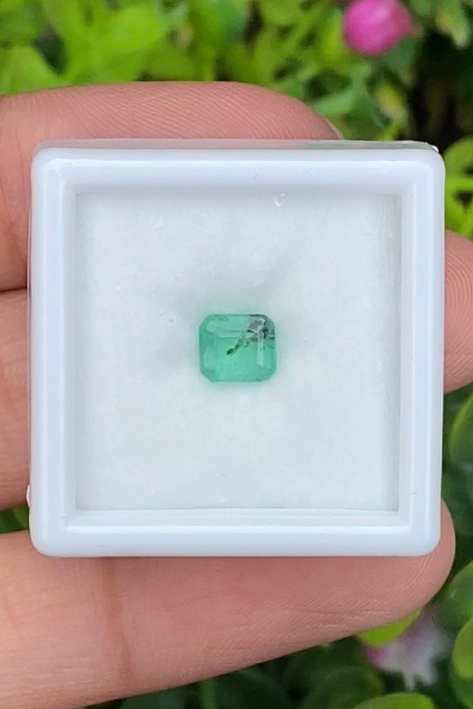 พลอย มรกต Natural Emerald