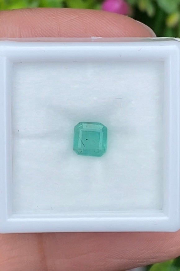 พลอย มรกต Natural Emerald