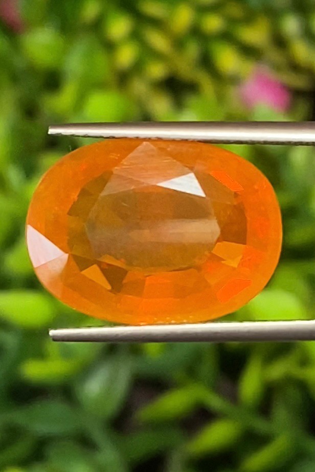 พลอย โอปอล Opal