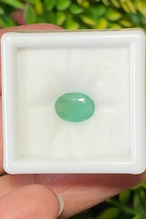 พลอย มรกต Natural Emerald