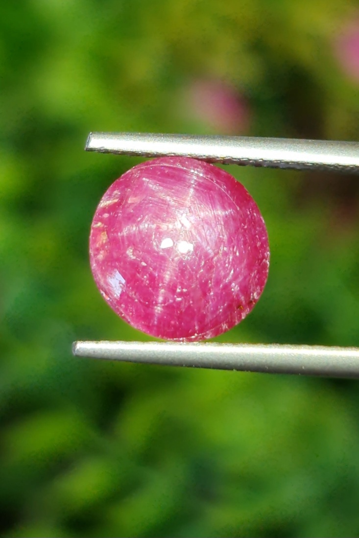 ทับทิม สตาร์ Star Ruby Sapphire