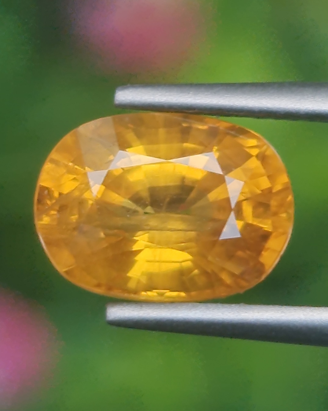 บุษราคัม (Yellow Sapphire)