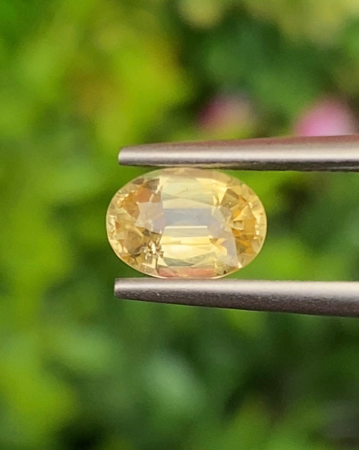 บุษราคัม (Yellow Sapphire)