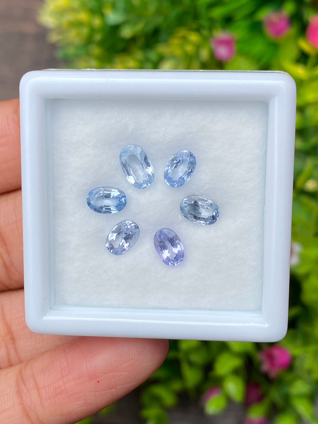 ไพลิน Natural Sapphire