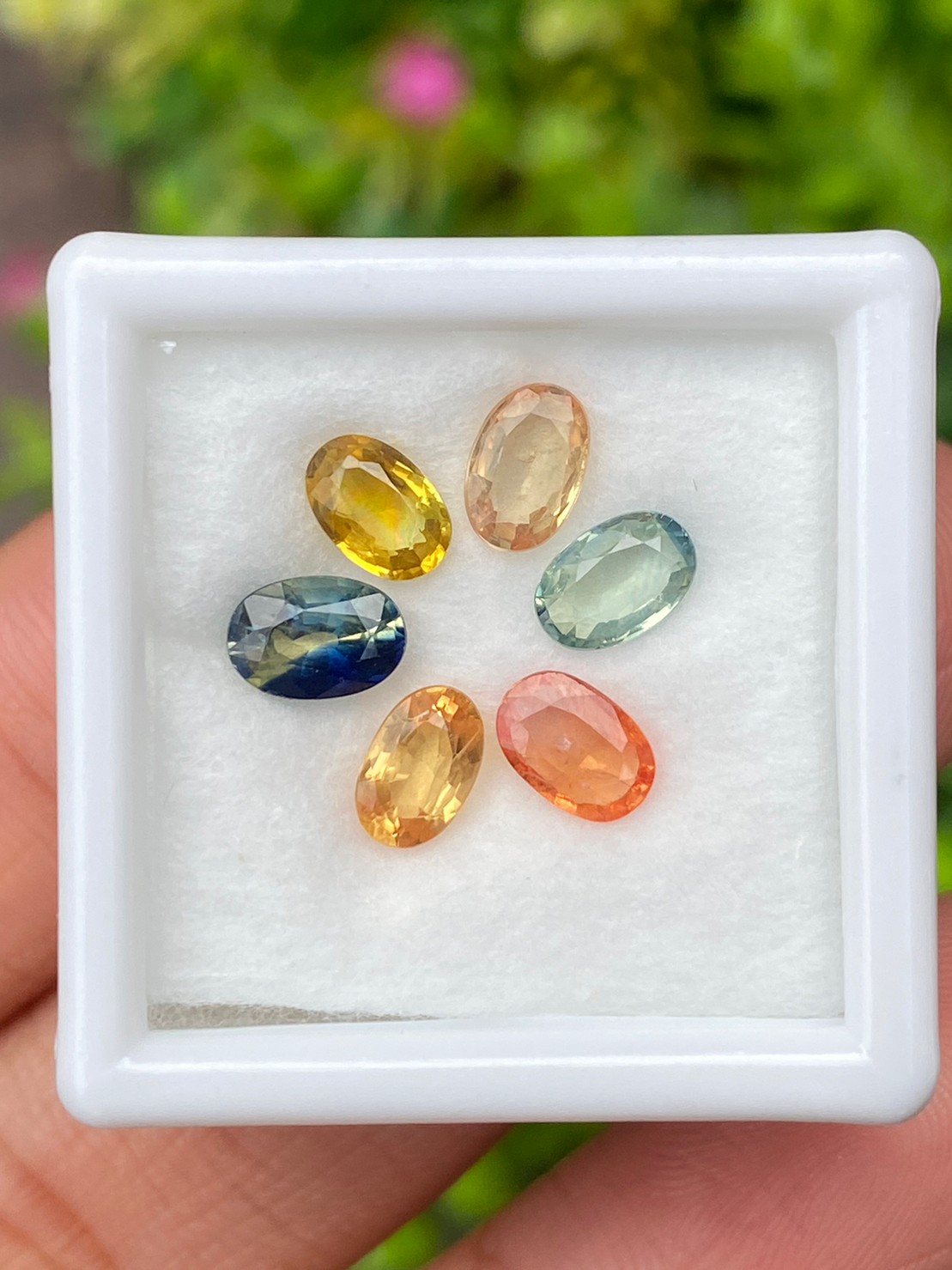 พลอย แฟนซี Fancy Sapphire