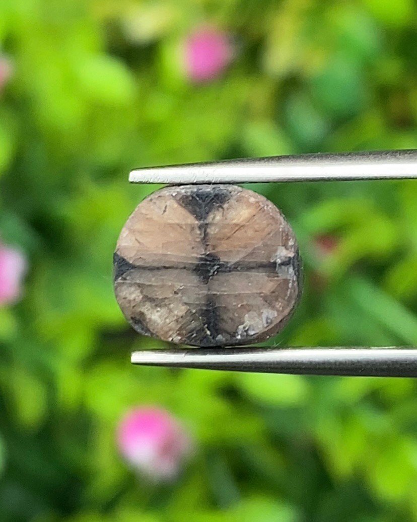 ไคแอสโทไลต์ Chiastolite