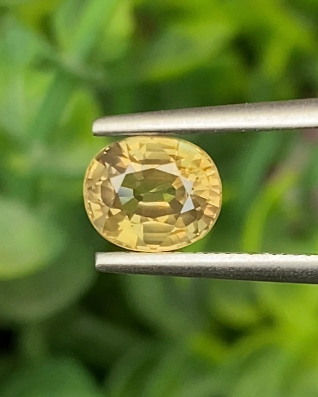 บุษราคัม (Yellow Sapphire)