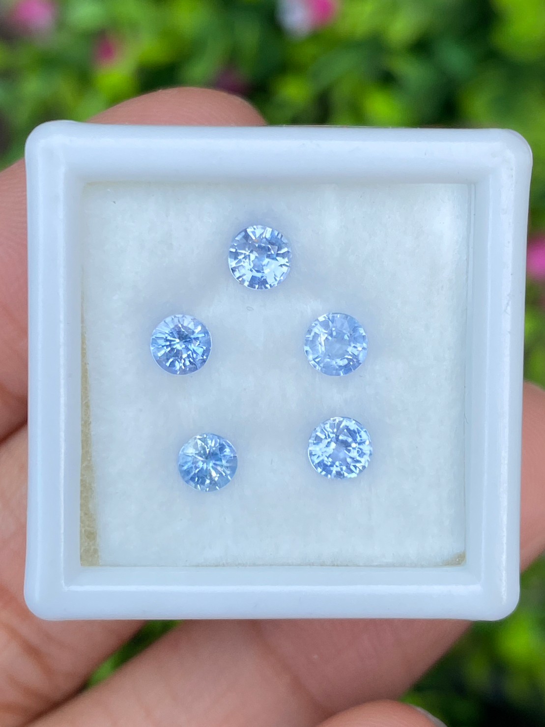ไพลิน Natural Sapphire