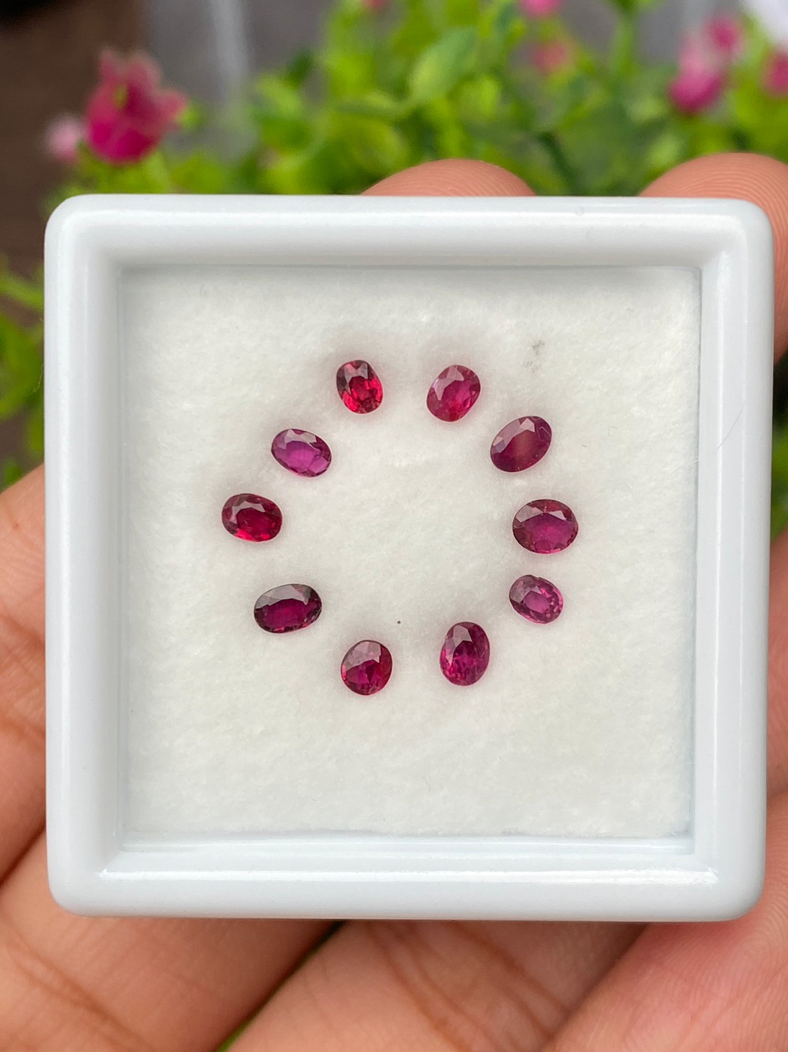 พลอย ทับทิม Ruby sapphire