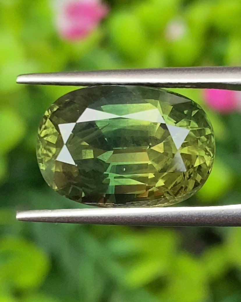 พลอย เขียวส่อง Green sapphire