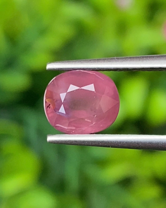 พลอย ทับทิม Ruby sapphire
