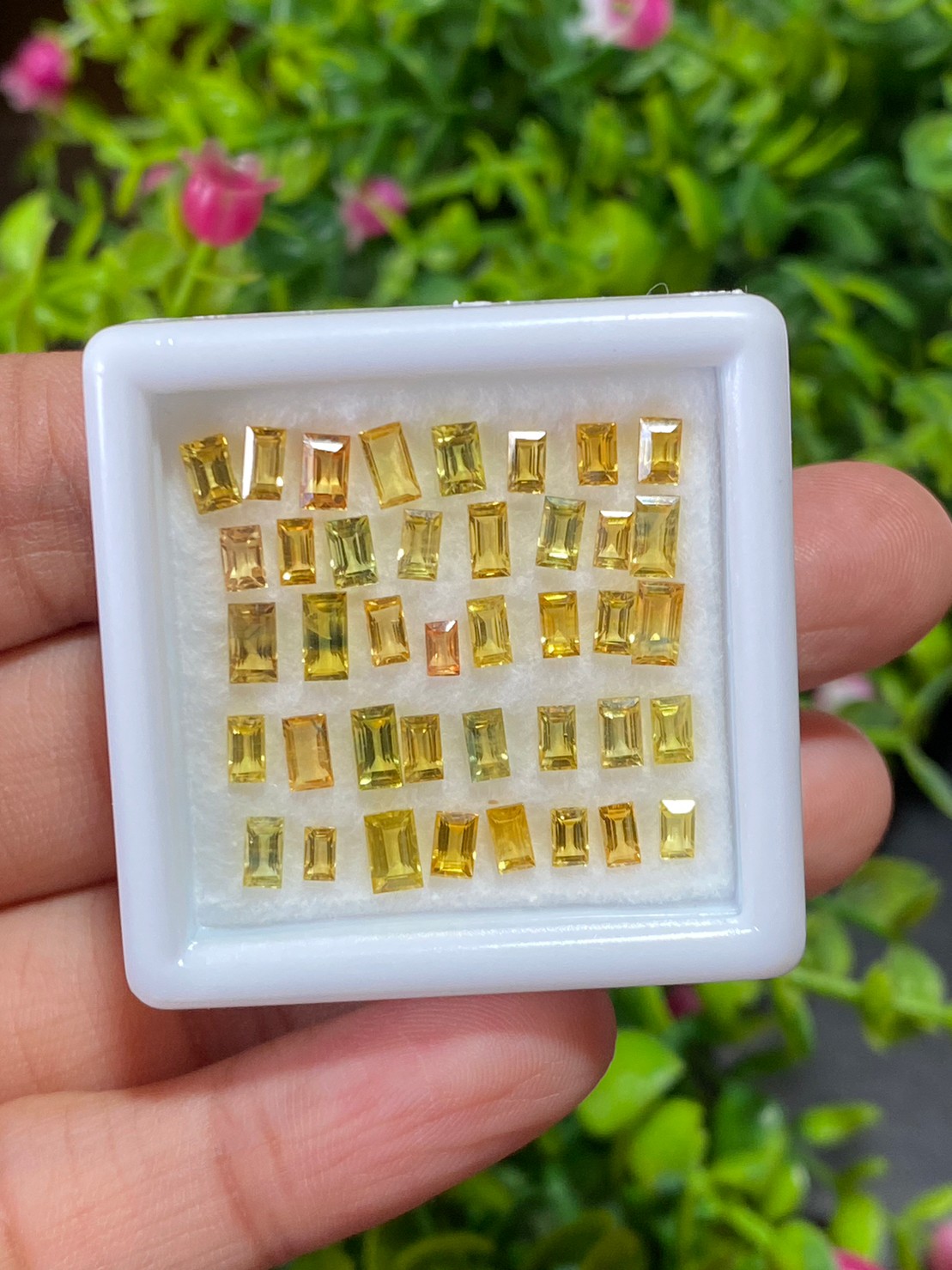 บุษราคัม Yellow Sapphire