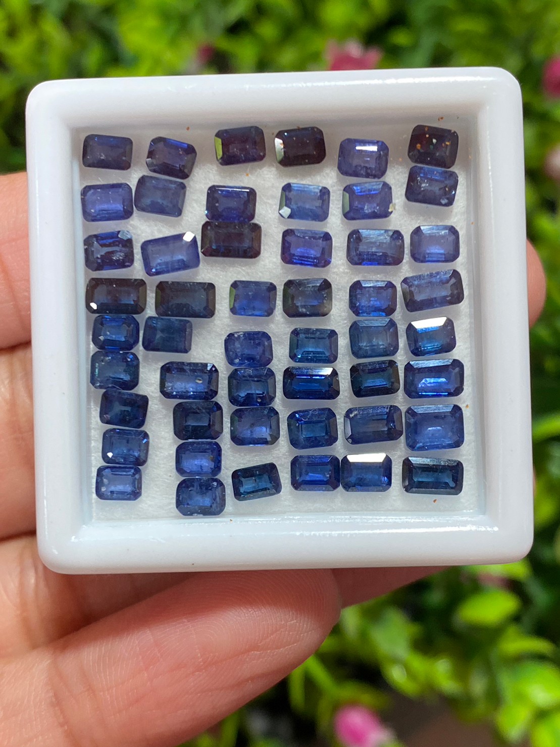 ไพลิน Natural Sapphire