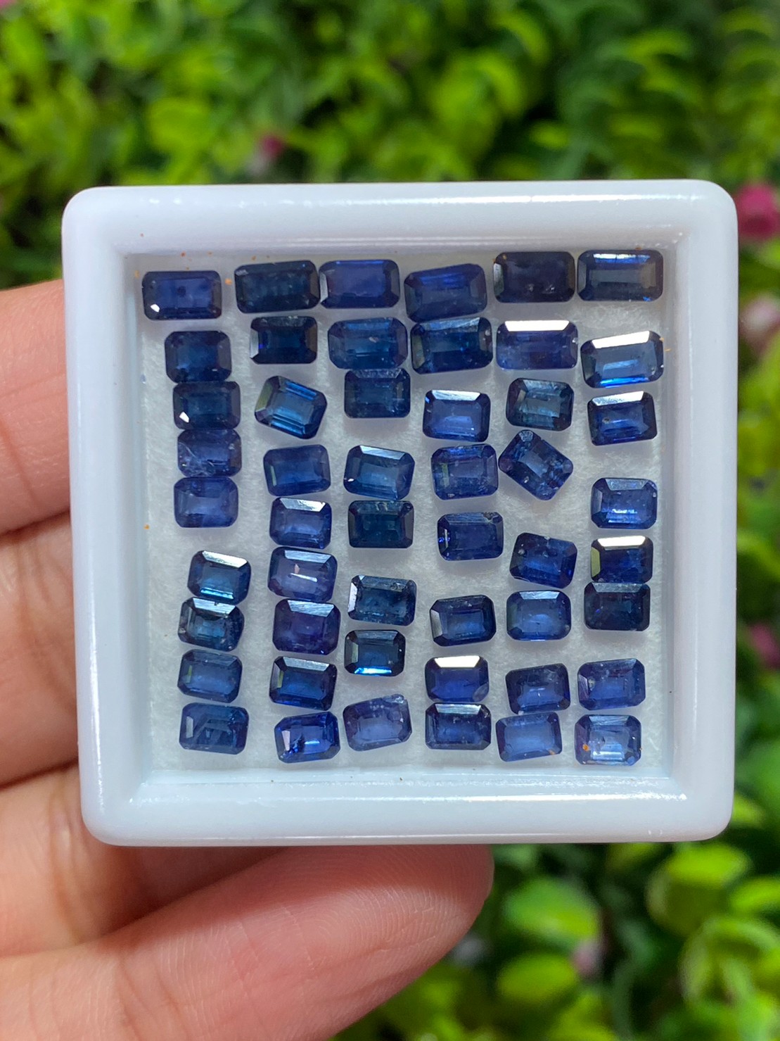 ไพลิน Natural Sapphire
