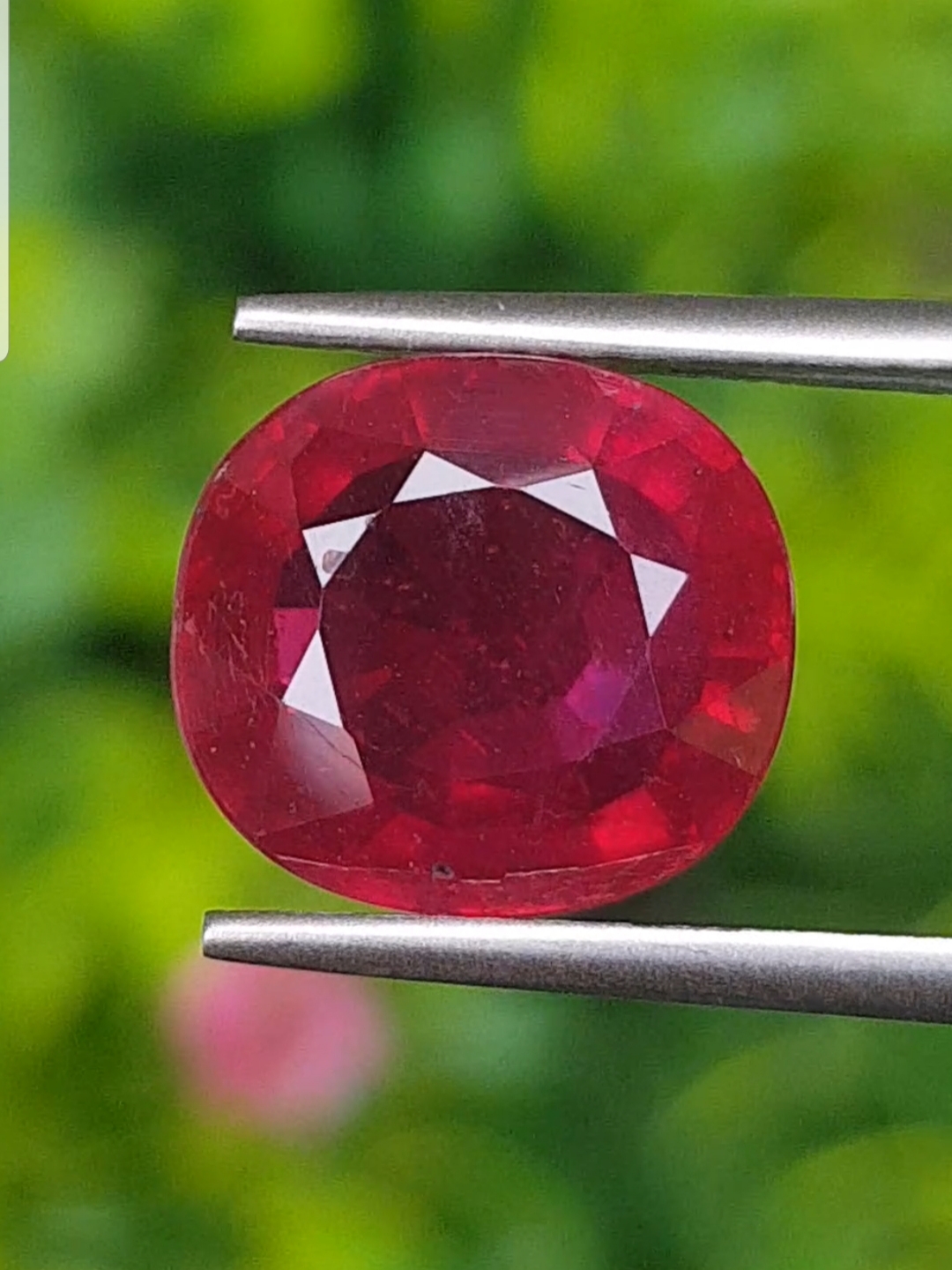 ทับทิม Natural Ruby Sapphire