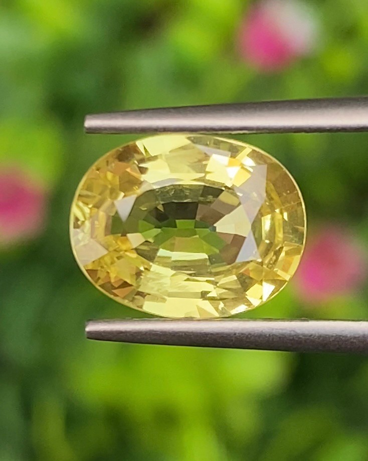 บุษราคัม (Yellow Sapphire)