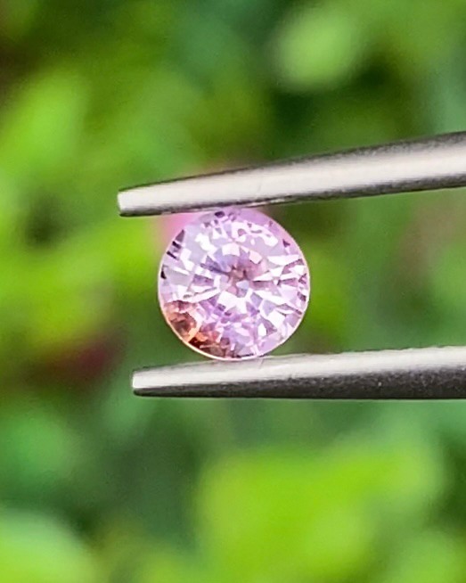 พลอย ชมพู พิ้ง แซฟไฟร์ Pink Sapphire