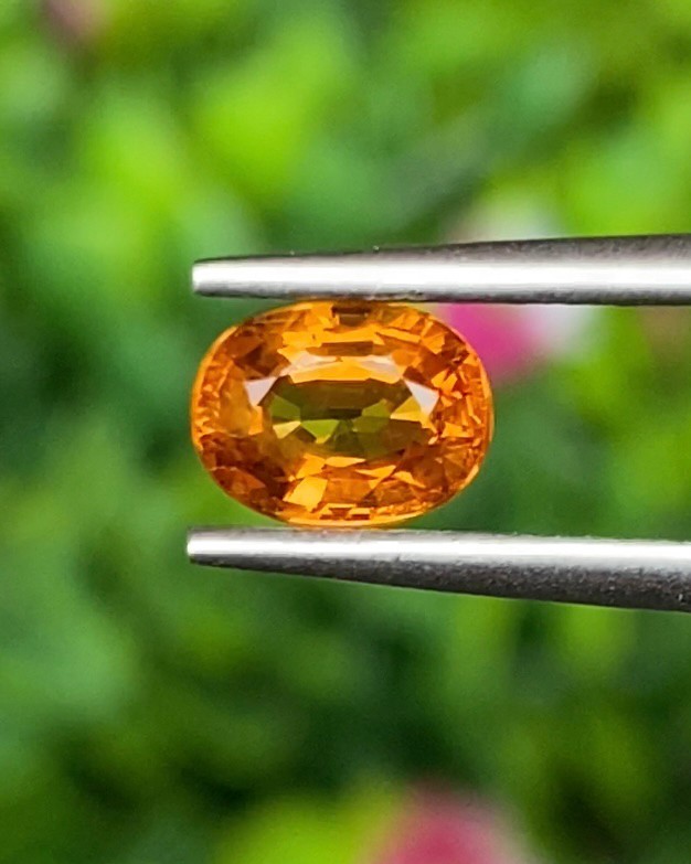 บุษราคัม Natural Yellow Sapphire