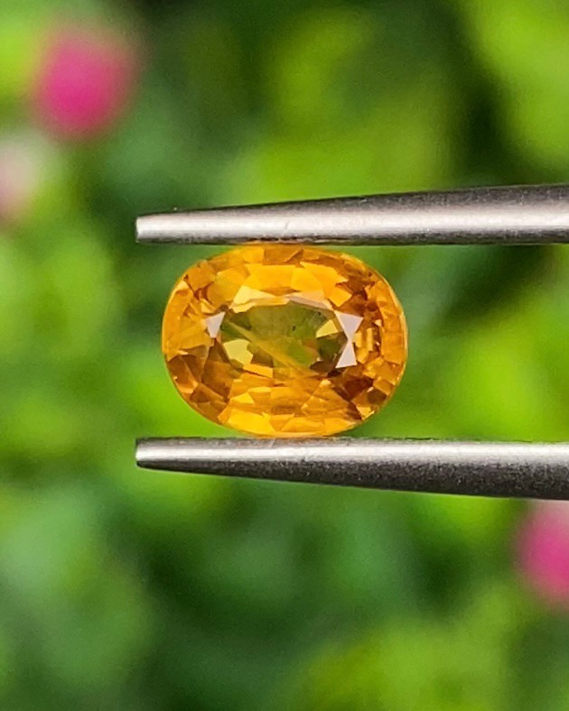 บุษราคัม Natural Yellow Sapphire