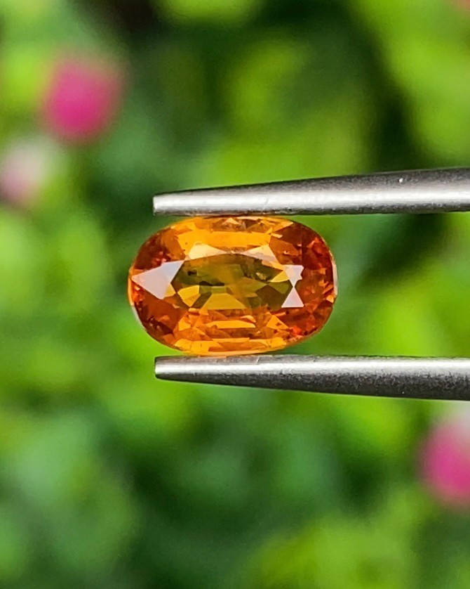บุษราคัม Natural Yellow Sapphire