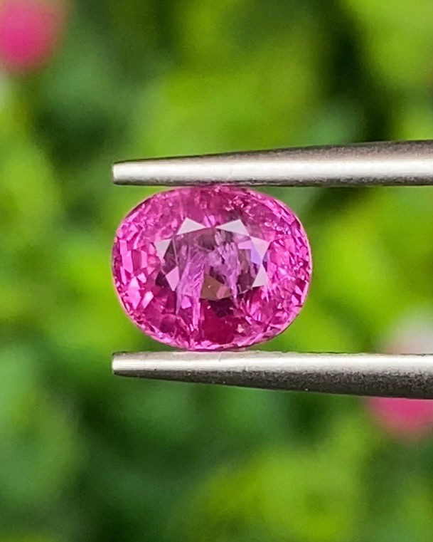พลอย ชมพู Pink sapphire