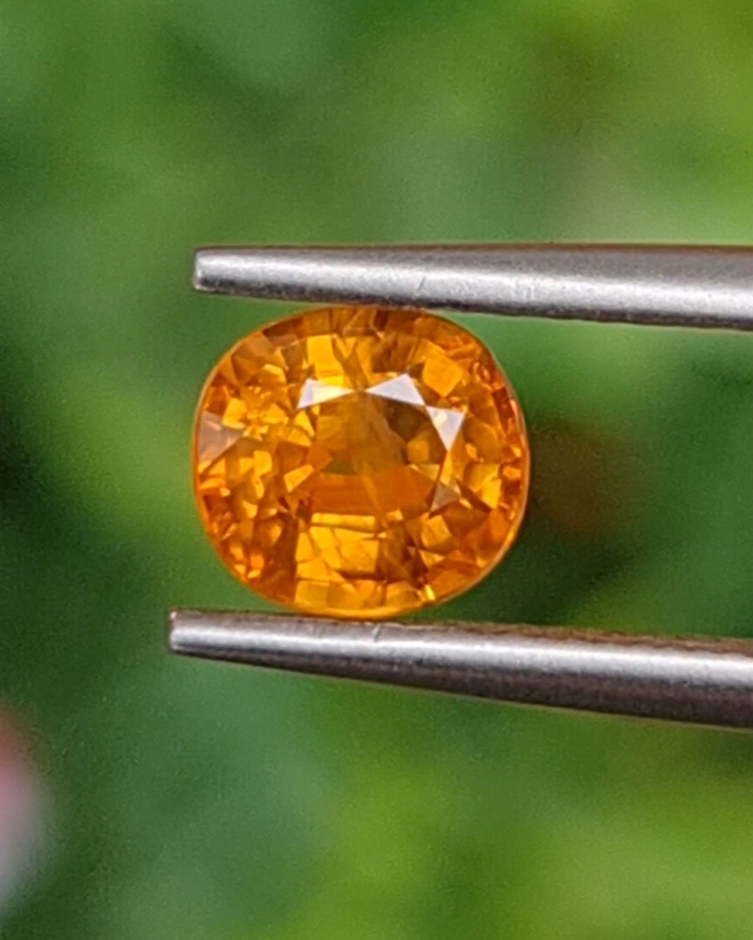 บุษราคัม Natural Yellow Sapphire