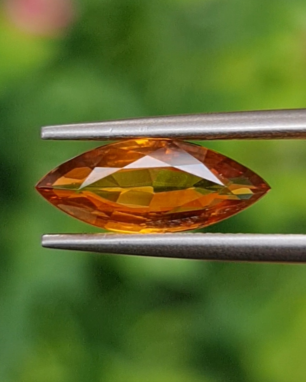 บุษราคัม Natural Yellow Sapphire