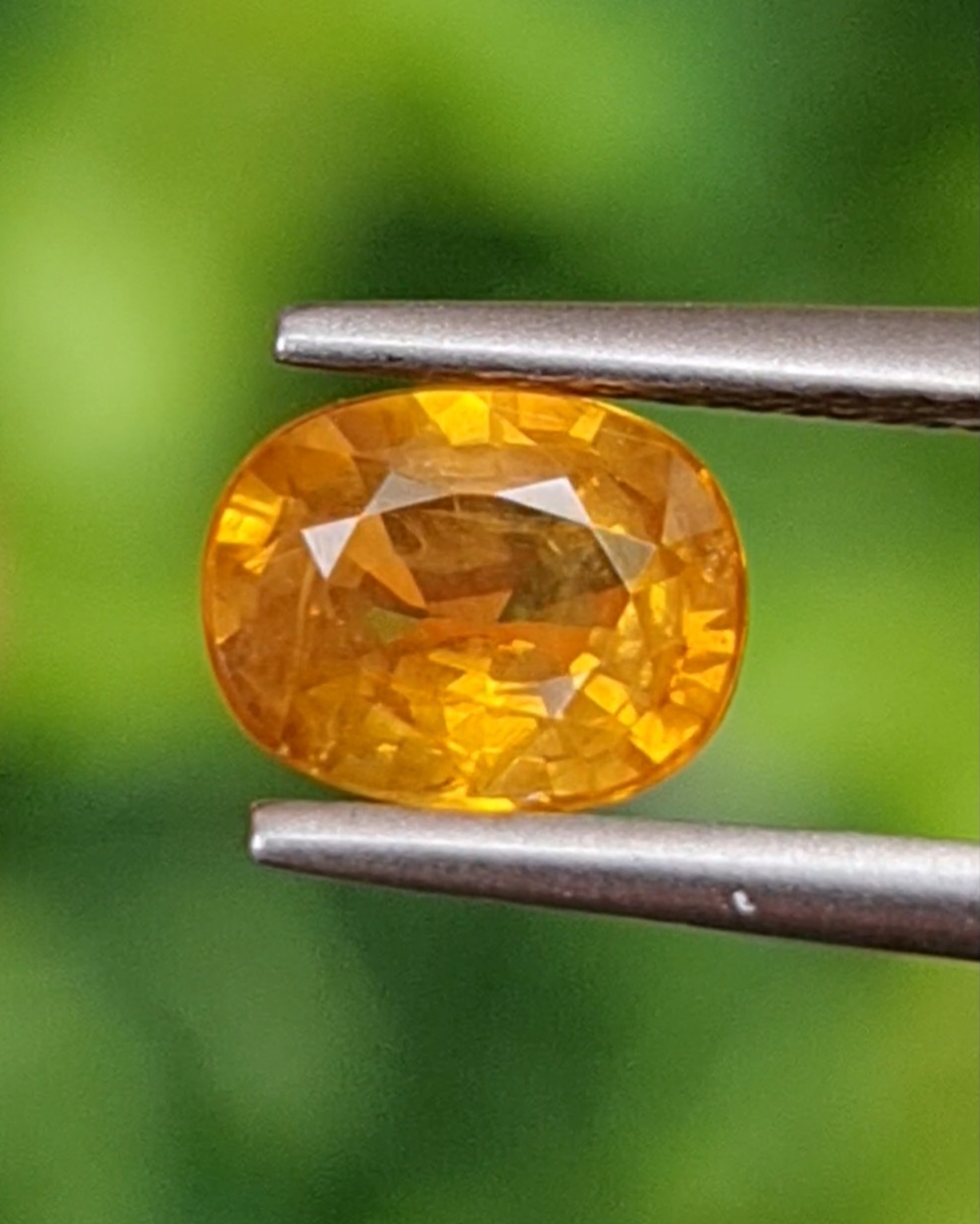 บุษราคัม Natural Yellow Sapphire