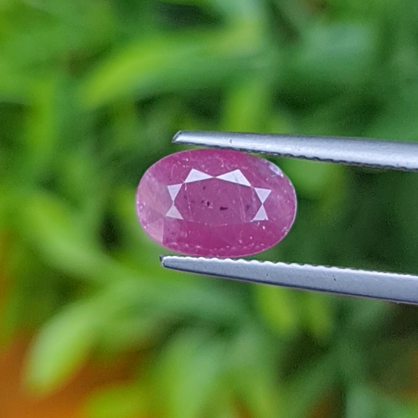 พลอย ทับทิม Ruby sapphire