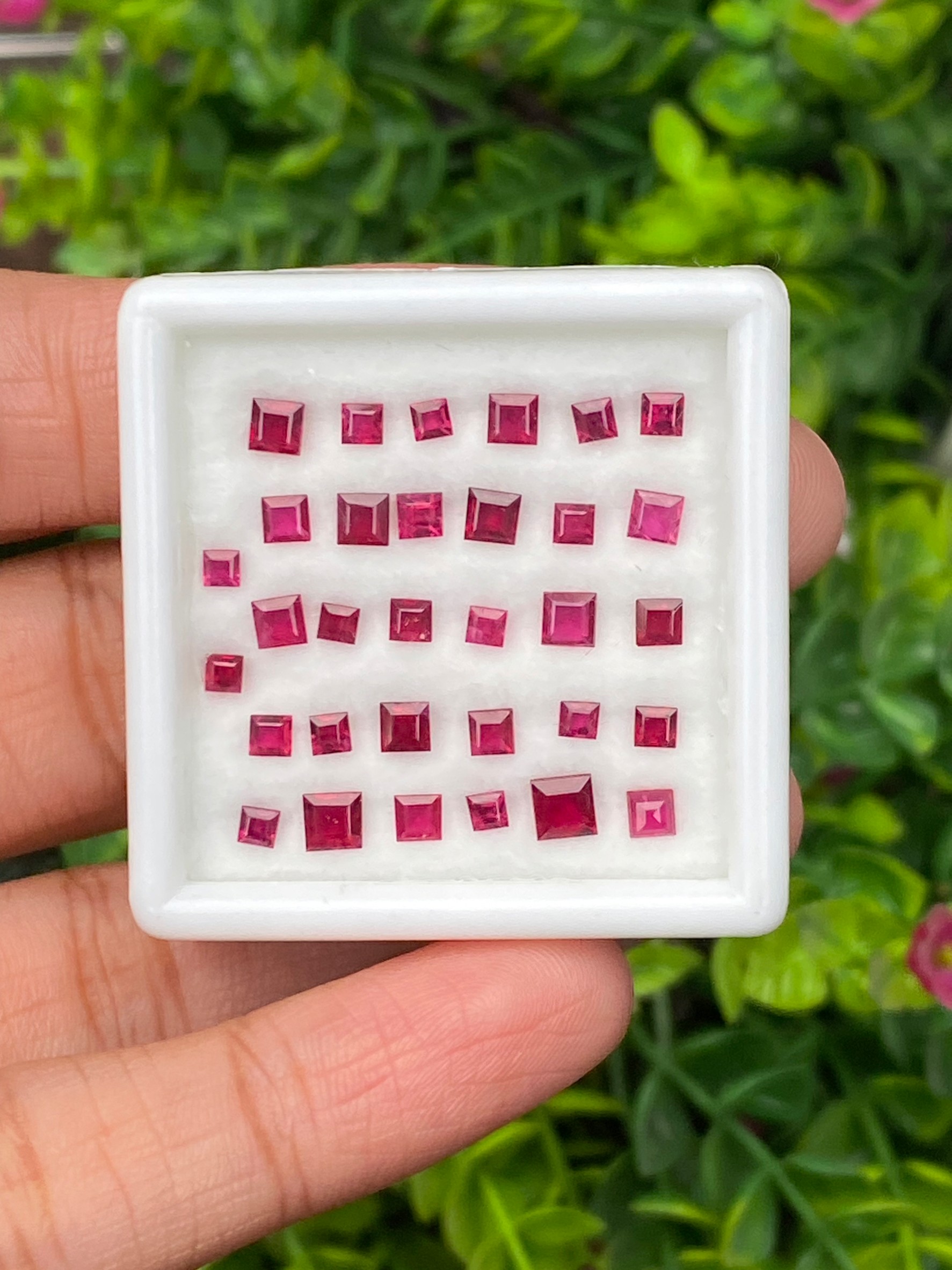 พลอย ทับทิม Ruby sapphire