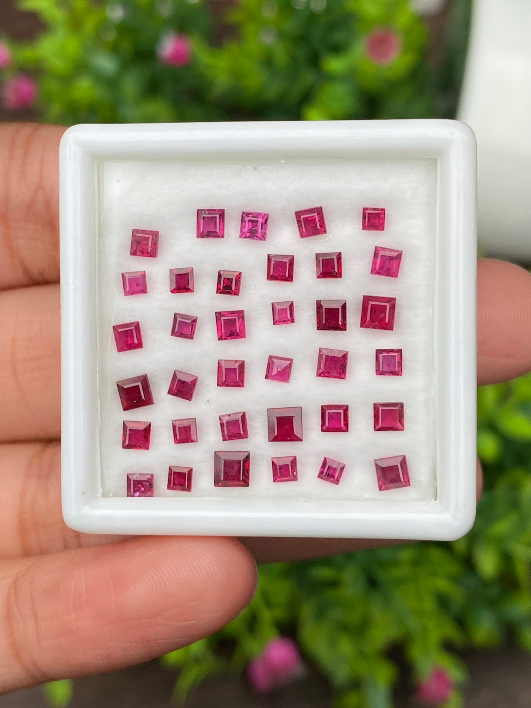 พลอย ทับทิม Ruby sapphire