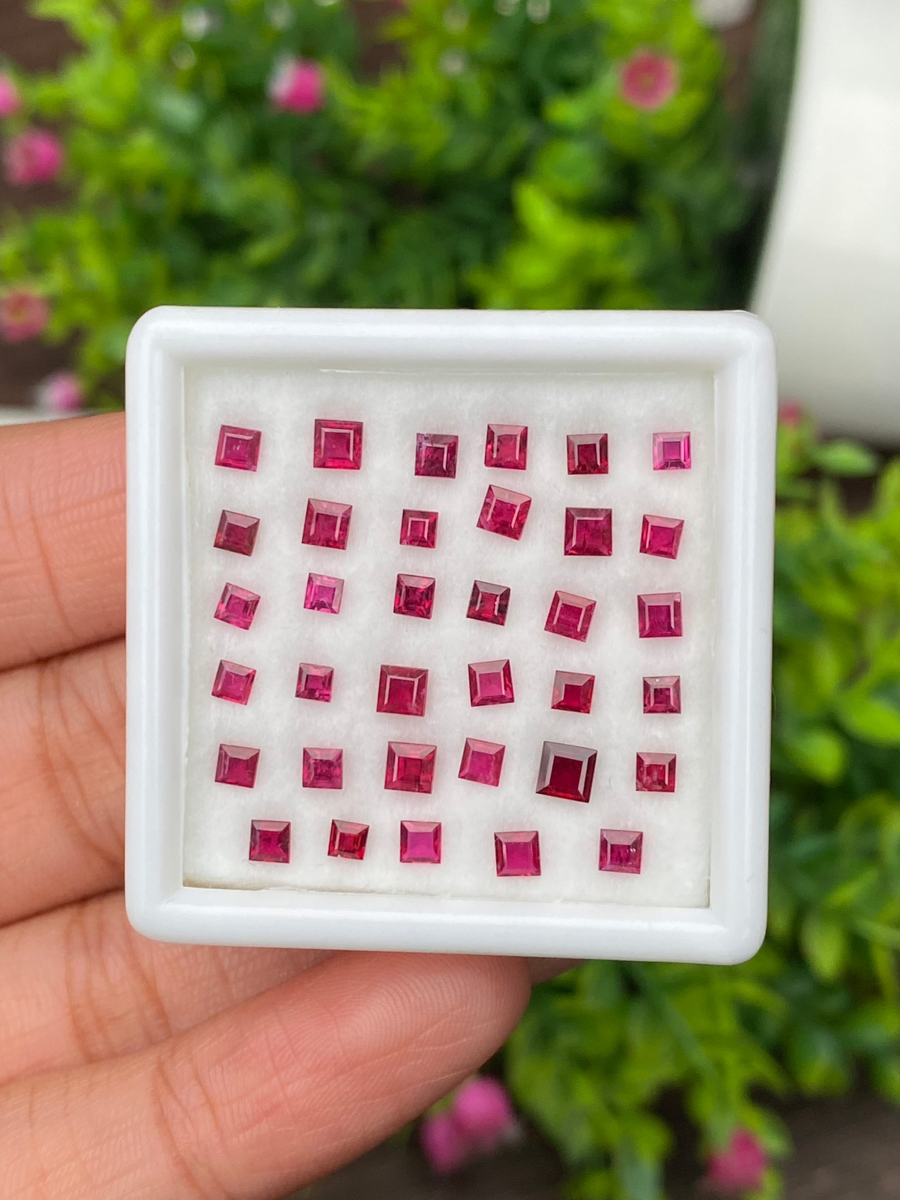 พลอย ทับทิม Ruby sapphire