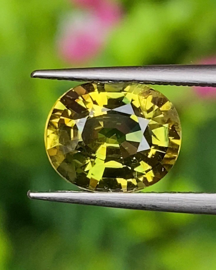 บุษราคัม Natural Yellow Sapphire