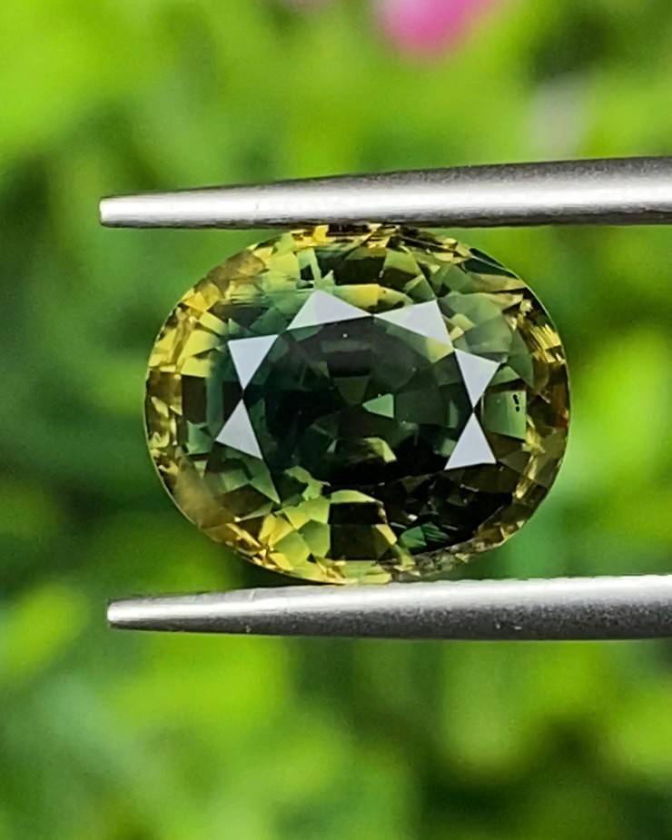 แซฟไฟร์ 2 สี Bi Color Sapphire