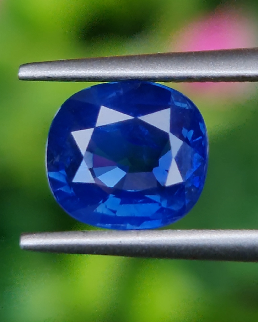 ไพลิน Natural Sapphire