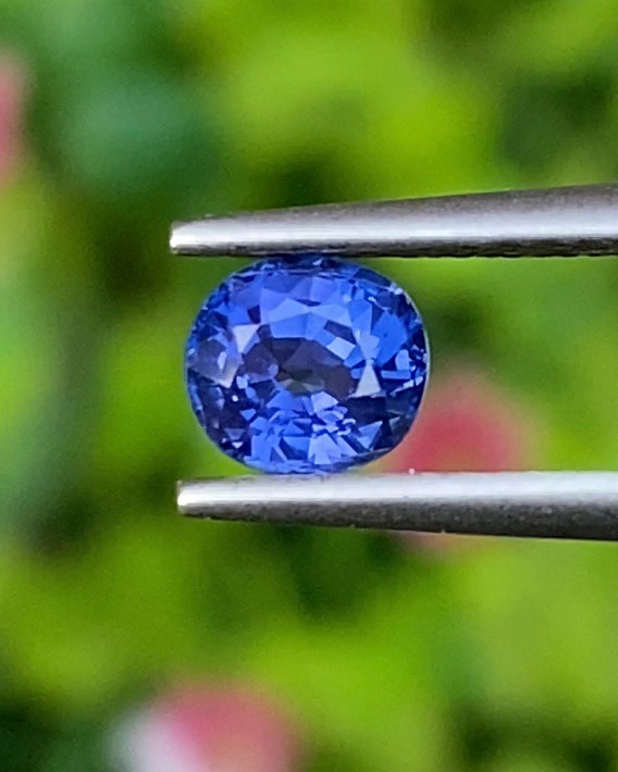 ไพลิน Natural Sapphire